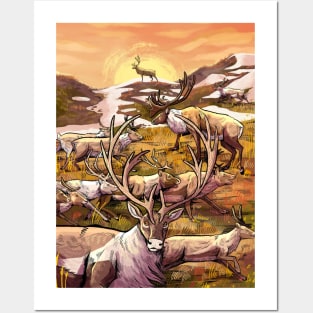 Caribou Mountain Posters and Art